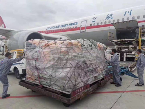 中国航空货运有哪些特征